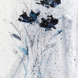 Aldina Mateus