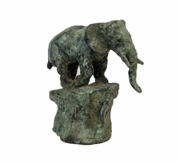 Cade – Image 2