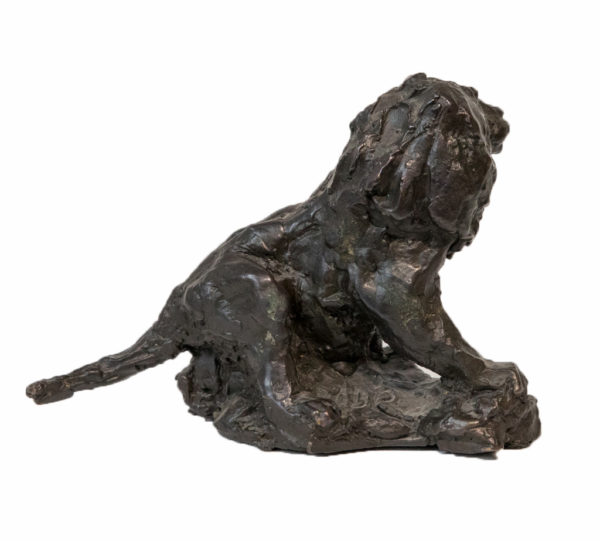 Cade – Image 2