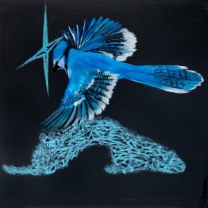 Sterenn Bernard