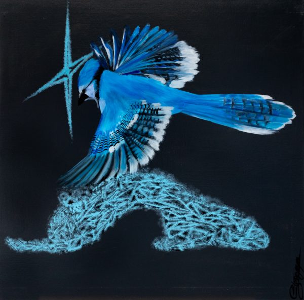 Sterenn Bernard
