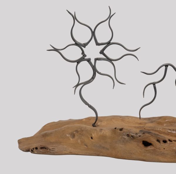 Pierre Conte – Image 3