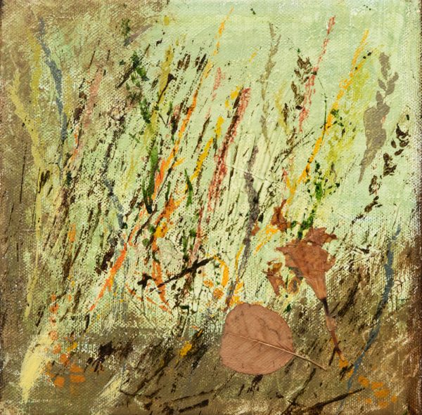 Anne-Marie Renno