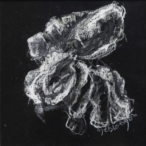 Marie-T Bloemen