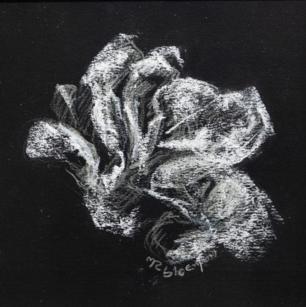 Marie-T Bloemen