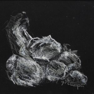 Marie-T Bloemen