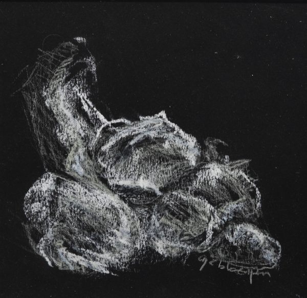 Marie-T Bloemen