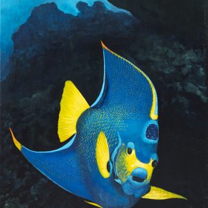 Patrick Chevailler
