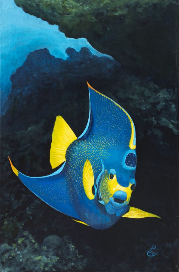 Patrick Chevailler