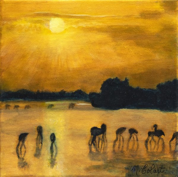 Myriam Colart