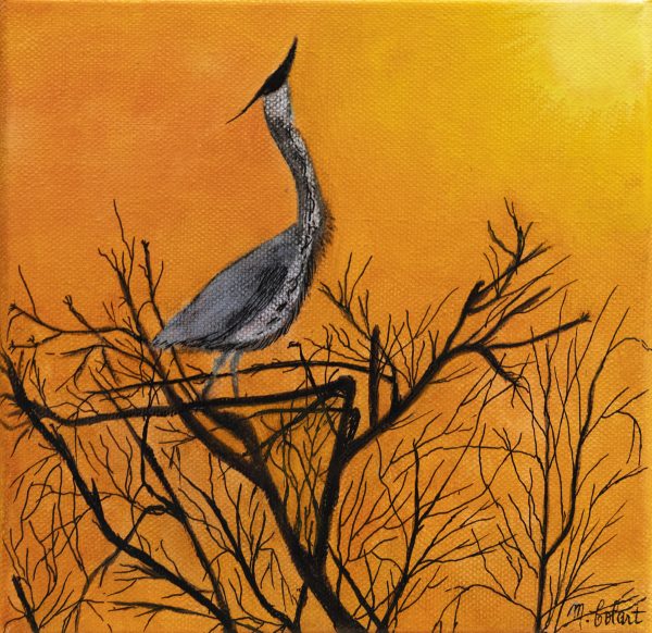 Myriam Colart