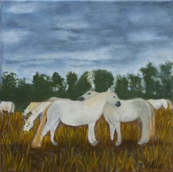 Myriam Colart
