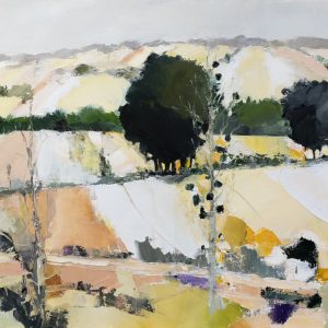 Didier Caudron