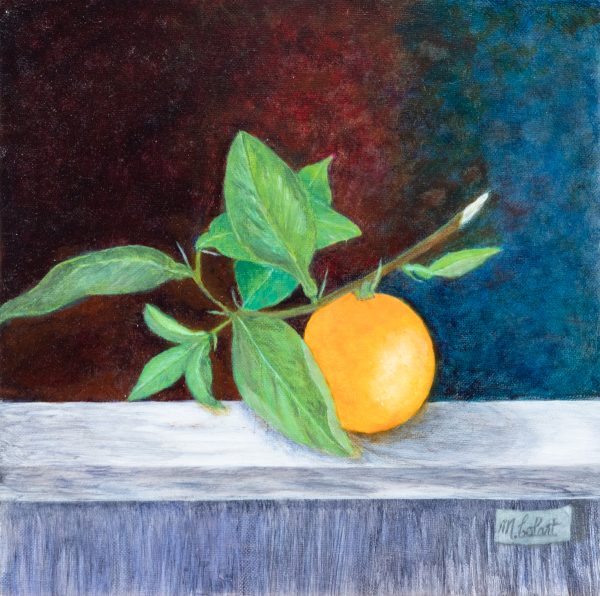 Myriam Colart
