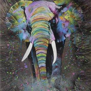 Dje Wild Art