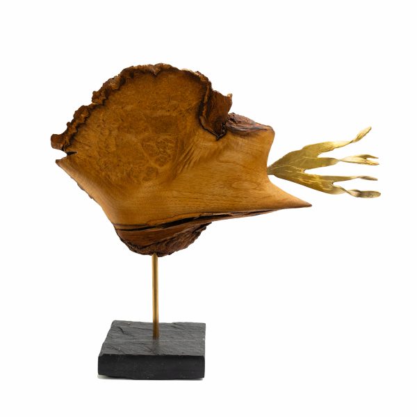 Didier Lancour – Image 2