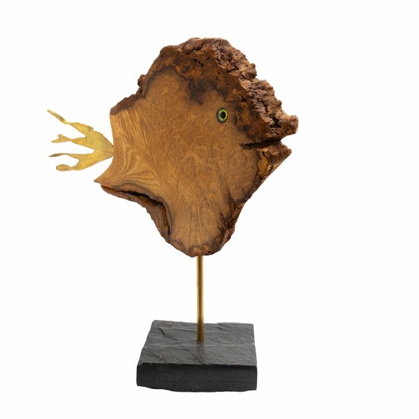 Didier Lancour – Image 3