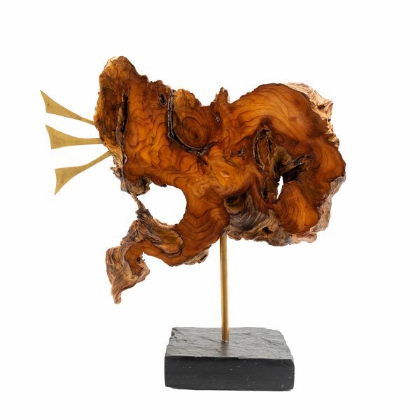 Didier Lancour – Image 3
