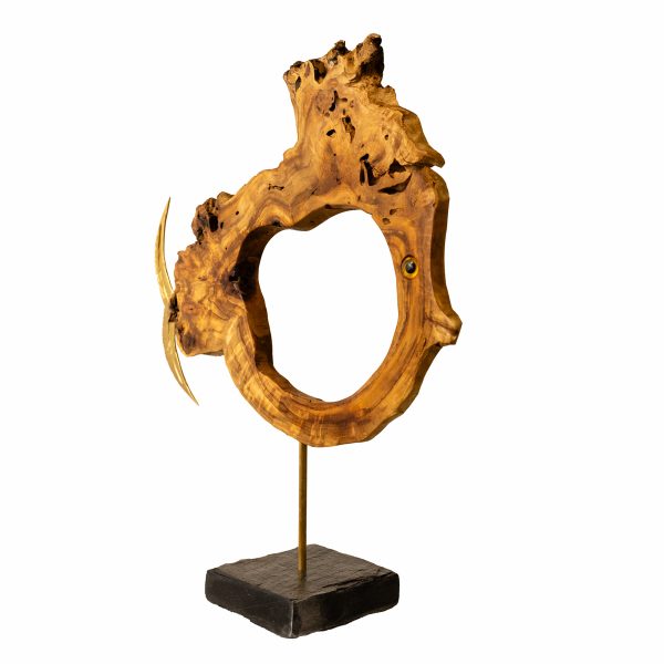 Didier Lancour – Image 2