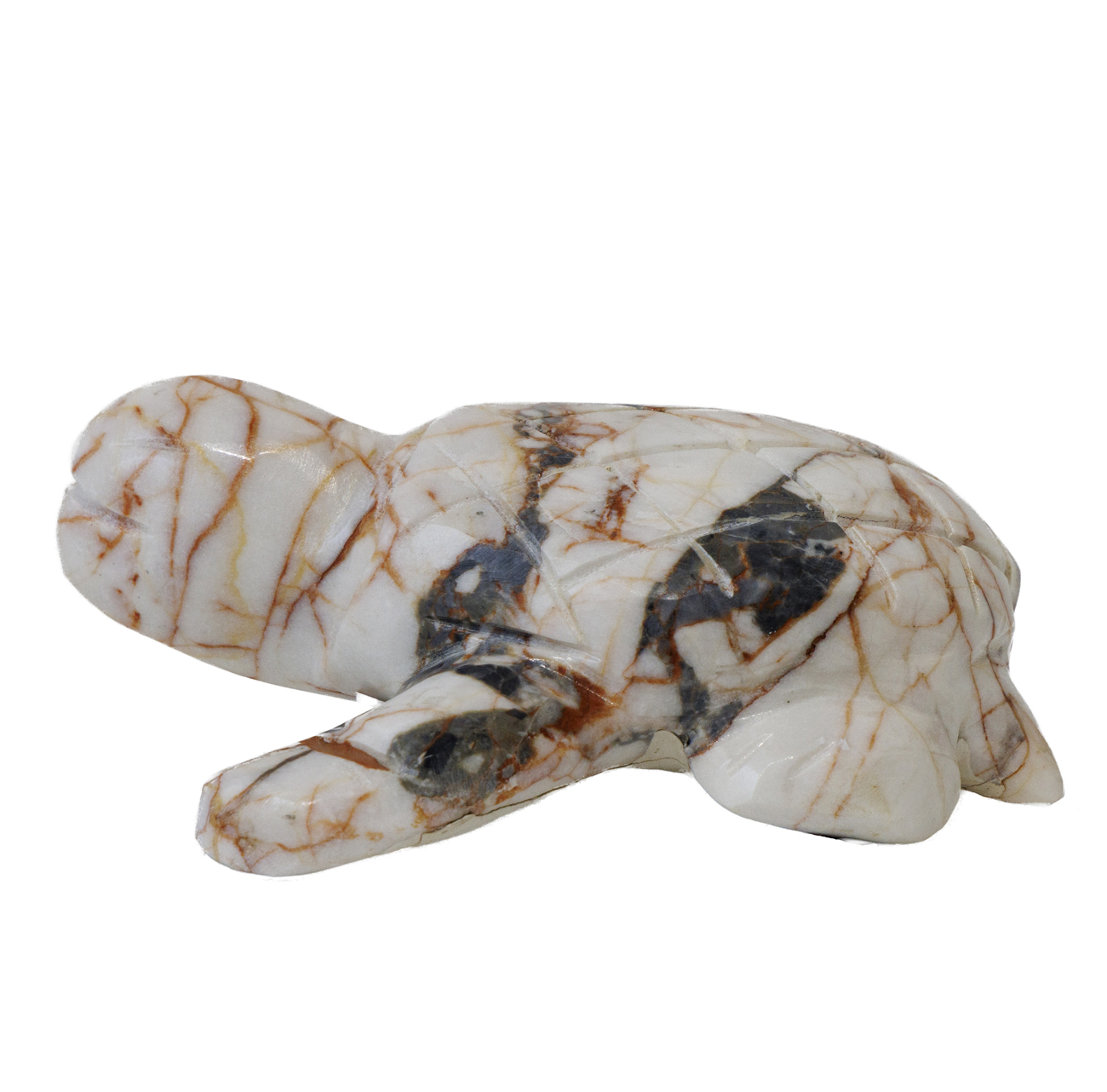 Iris Vargas – Image 3